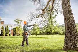 Best Tree Mulching  in Casa Blanca, AZ
